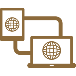 Custom websites icon